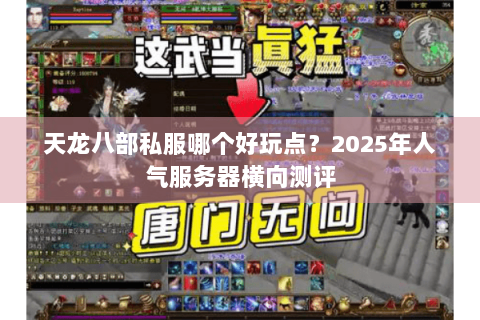 天龙八部私服哪个好玩点?2025年人气服务器横向测评 天龙八部私服哪个好玩点?2025年人气服务器横向测评