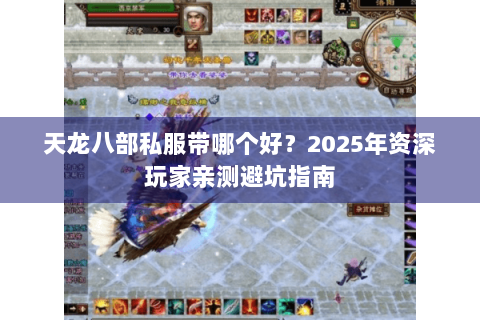 天龙八部私服带哪个好？2025年资深玩家亲测避坑指南
