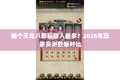 哪个天龙八部私服人最多？2025年玩家实测数据对比
