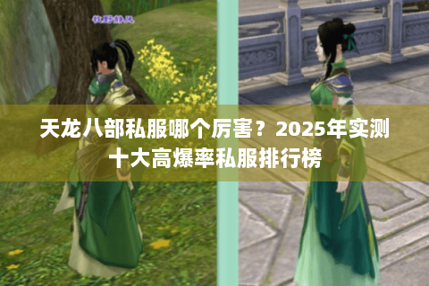 天龙八部私服哪个厉害？2025年实测十大高爆率私服排行榜