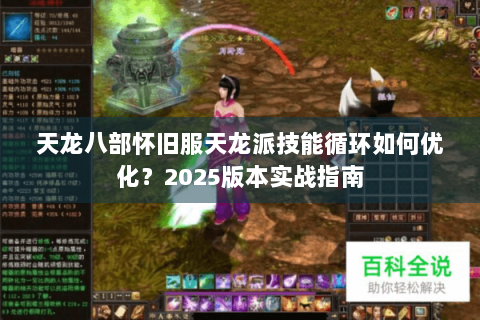天龙八部怀旧服天龙派技能循环如何优化？2025版本实战指南
