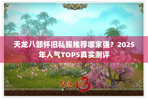 天龙八部怀旧私服推荐哪家强?2025年人气TOP5真实测评 天龙八部怀旧私服推荐哪家强?2025年人气TOP5真实测评