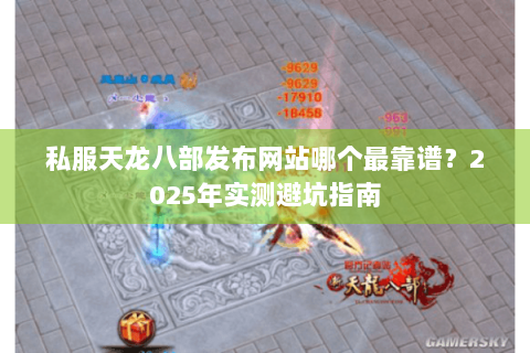 私服天龙八部发布网站哪个最靠谱？2025年实测避坑指南