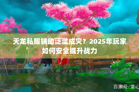 天龙私服辅助泛滥成灾?2025年玩家如何安全提升战力 天龙私服辅助泛滥成灾?2025年玩家如何安全提升战力