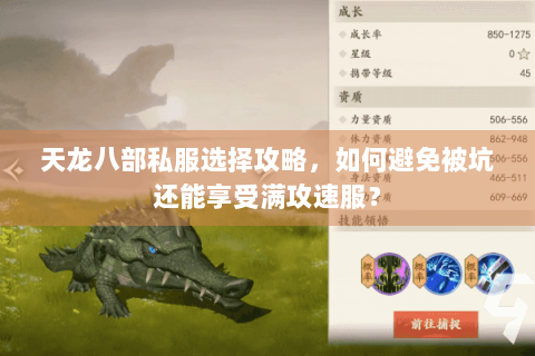 天龙八部私服选择攻略，如何避免被坑还能享受满攻速服？