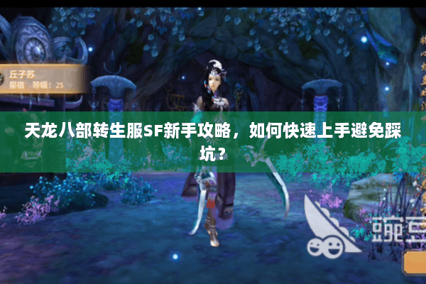 天龙八部转生服SF新手攻略,如何快速上手避免踩坑? 天龙八部转生服SF新手攻略,如何快速上手避免踩坑?