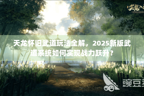 天龙怀旧武道玩法全解，2025新版武道系统如何实现战力跃升？