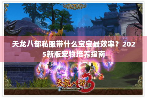 天龙八部私服带什么宝宝最效率？2025新版宠物培养指南