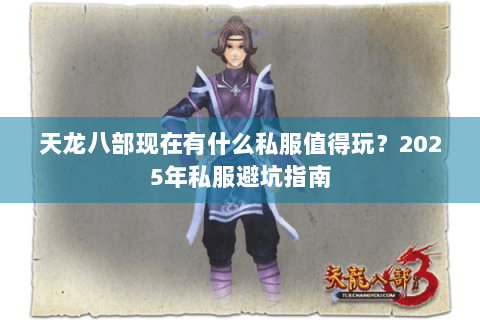 天龙八部现在有什么私服值得玩？2025年私服避坑指南