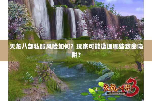 天龙八部私服风险如何？玩家可能遭遇哪些致命陷阱？