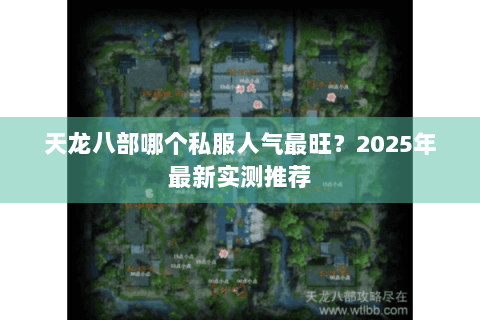 天龙八部哪个私服人气最旺？2025年最新实测推荐