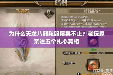 为什么天龙八部私服屡禁不止?老玩家亲述五个扎心真相 为什么天龙八部私服屡禁不止?老玩家亲述五个扎心真相