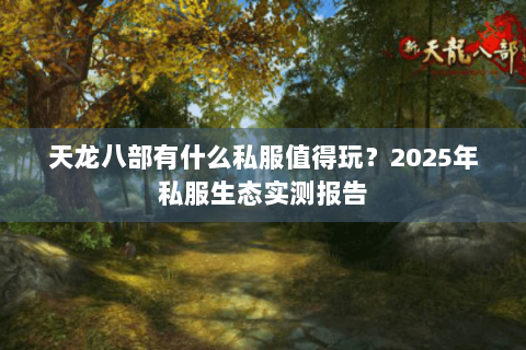 天龙八部有什么私服值得玩?2025年私服生态实测报告 天龙八部有什么私服值得玩?2025年私服生态实测报告