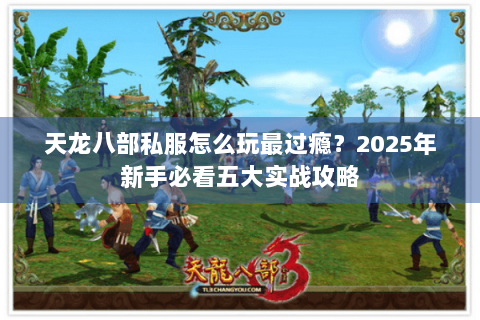 天龙八部私服怎么玩最过瘾？2025年新手必看五大实战攻略