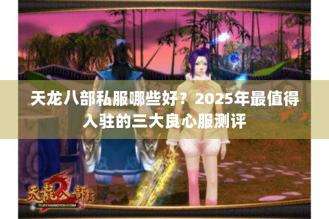 天龙八部私服哪些好?2025年最值得入驻的三大良心服测评 天龙八部私服哪些好?2025年最值得入驻的三大良心服测评