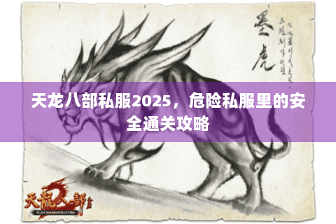 天龙八部私服2025，危险私服里的安全通关攻略