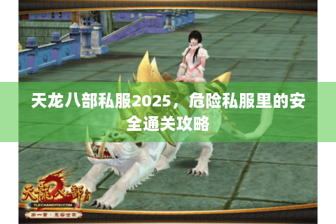 天龙八部私服2025，危险私服里的安全通关攻略