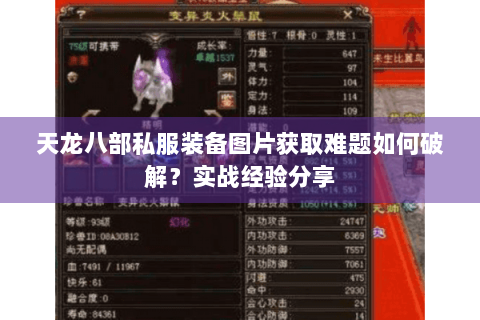 天龙八部私服装备图片获取难题如何破解?实战经验分享 天龙八部私服装备图片获取难题如何破解?实战经验分享