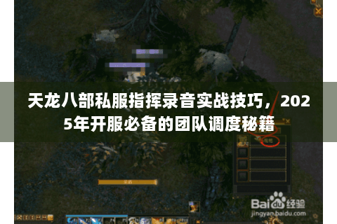 天龙八部私服指挥录音实战技巧，2025年开服必备的团队调度秘籍