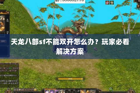 天龙八部sf不能双开怎么办？玩家必看解决方案