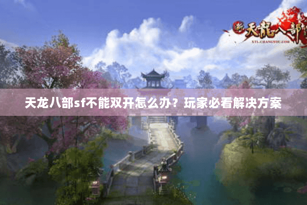 天龙八部sf不能双开怎么办？玩家必看解决方案