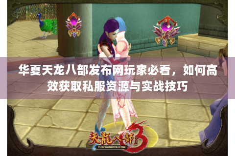 华夏天龙八部发布网玩家必看，如何高效获取私服资源与实战技巧