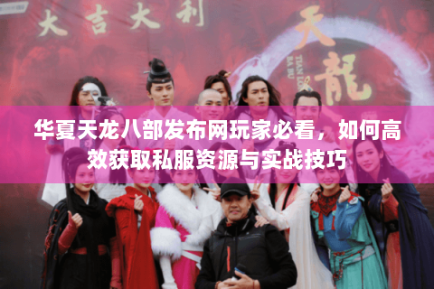 华夏天龙八部发布网玩家必看，如何高效获取私服资源与实战技巧