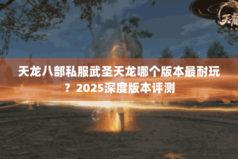 天龙八部私服武圣天龙哪个版本最耐玩？2025深度版本评测