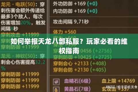 如何举报天龙八部私服？玩家必看的维权指南