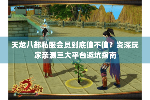 天龙八部私服会员到底值不值？资深玩家亲测三大平台避坑指南