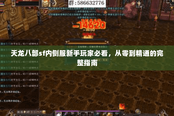 天龙八部sf内侧服新手玩家必看,从零到精通的完整指南 天龙八部sf内侧服新手玩家必看,从零到精通的完整指南