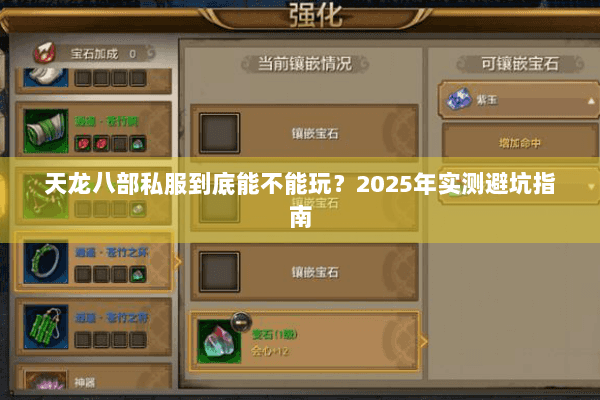 天龙八部私服到底能不能玩?2025年实测避坑指南 天龙八部私服到底能不能玩?2025年实测避坑指南