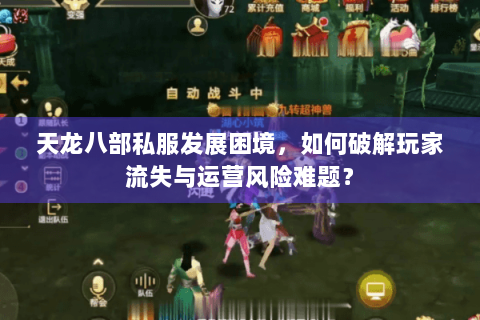 天龙八部私服发展困境，如何破解玩家流失与运营风险难题？