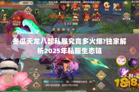 冬瓜天龙八部私服究竟多火爆?独家解析2025年私服生态链