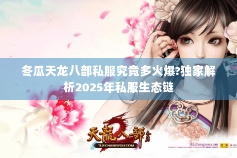 冬瓜天龙八部私服究竟多火爆?独家解析2025年私服生态链