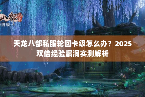 天龙八部私服轮回卡级怎么办？2025双倍经验漏洞实测解析