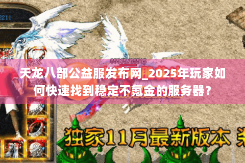 天龙八部公益服发布网_2025年玩家如何快速找到稳定不氪金的服务器？