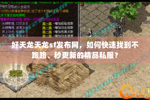 好天龙天龙sf发布网，如何快速找到不跑路、秒更新的精品私服？