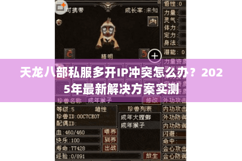 天龙八部私服多开IP冲突怎么办?2025年最新解决方案实测 天龙八部私服多开IP冲突怎么办?2025年最新解决方案实测