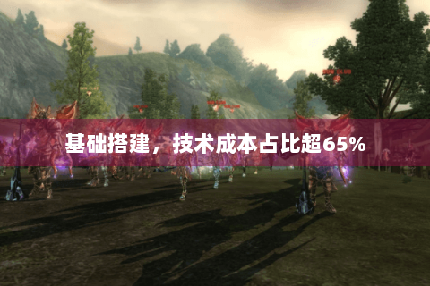 基础搭建,技术成本占比超65% 基础搭建,技术成本占比超65%