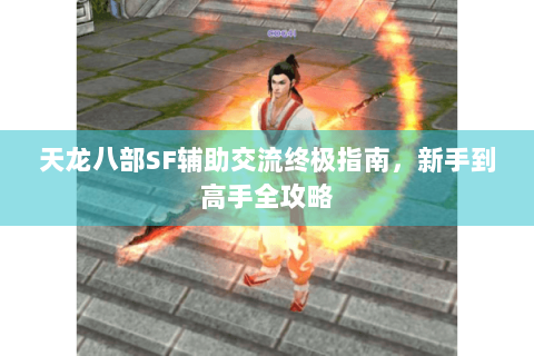 天龙八部SF辅助交流终极指南,新手到高手全攻略 天龙八部SF辅助交流终极指南,新手到高手全攻略