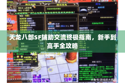 天龙八部SF辅助交流终极指南,新手到高手全攻略 天龙八部SF辅助交流终极指南,新手到高手全攻略