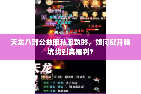 天龙八部公益服私服攻略，如何避开暗坑找到真福利？