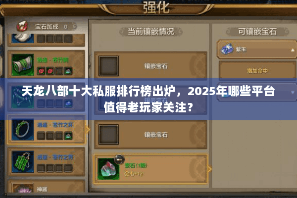 天龙八部十大私服排行榜出炉，2025年哪些平台值得老玩家关注？