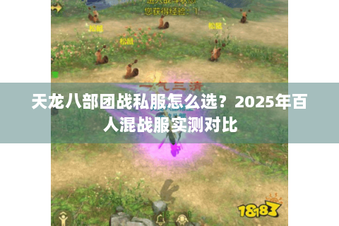 天龙八部团战私服怎么选？2025年百人混战服实测对比
