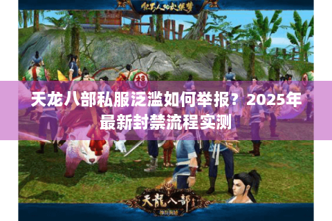 天龙八部私服泛滥如何举报？2025年最新封禁流程实测