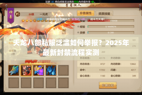 天龙八部私服泛滥如何举报？2025年最新封禁流程实测