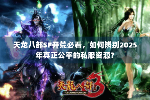 天龙八部SF开荒必看，如何辨别2025年真正公平的私服资源？