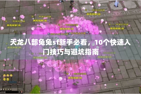 天龙八部兔兔sf新手必看,10个快速入门技巧与避坑指南 天龙八部兔兔sf新手必看,10个快速入门技巧与避坑指南