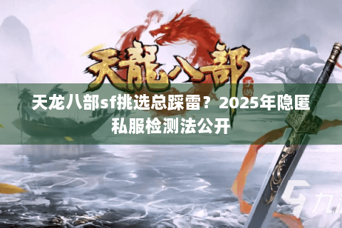 天龙八部sf挑选总踩雷？2025年隐匿私服检测法公开